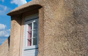 Nastend thatch roof disadvantages